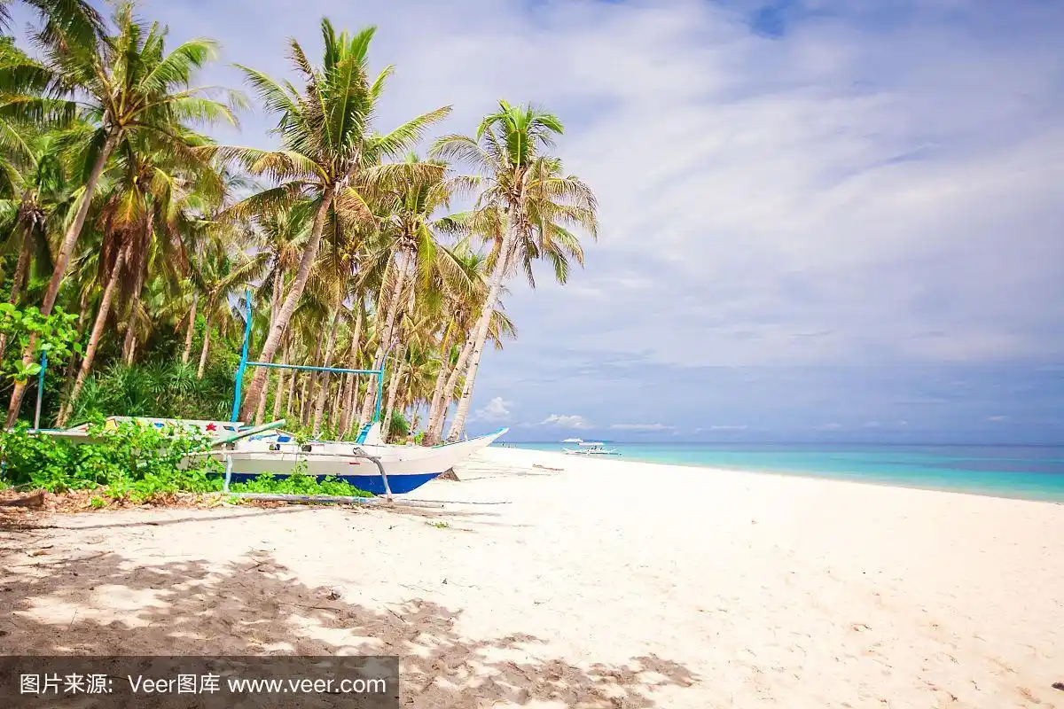 在白色沙滩上的椰子树在荒岛上