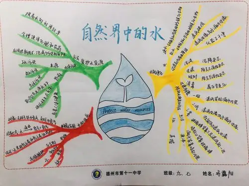 德州市第十一中学2019-2020学年第一学期化学思维导图师生作品汇编