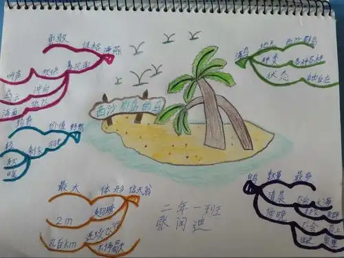 《西沙群岛的鸟》思维导图