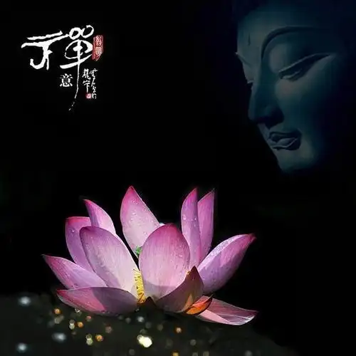 心静了,福气就来了:一组禅意唯美图片分享