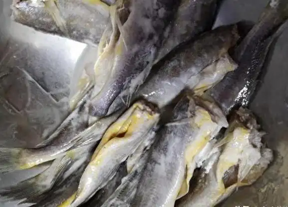 秋风起,这4种鱼最适合秋后吃,肉嫩刺少,营养丰富