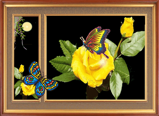 动态蝴蝶欣赏