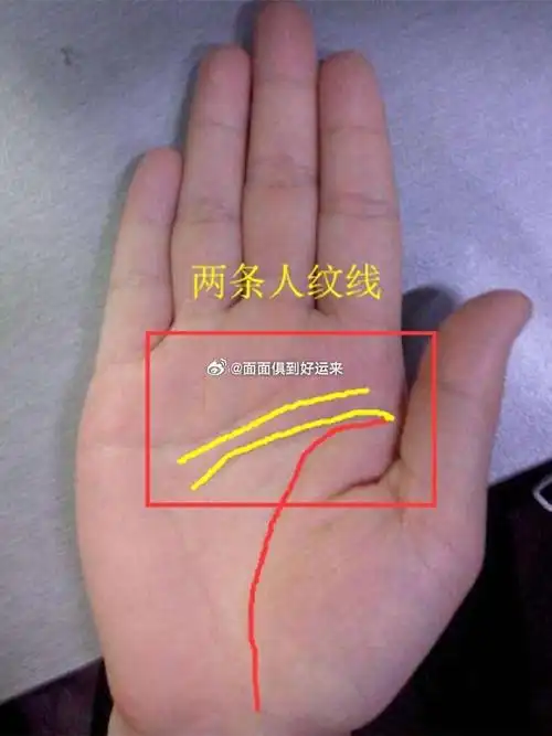 3种手相,创业成功率高,一帆风顺  1,天纹(感情线)末端分叉  手相中的