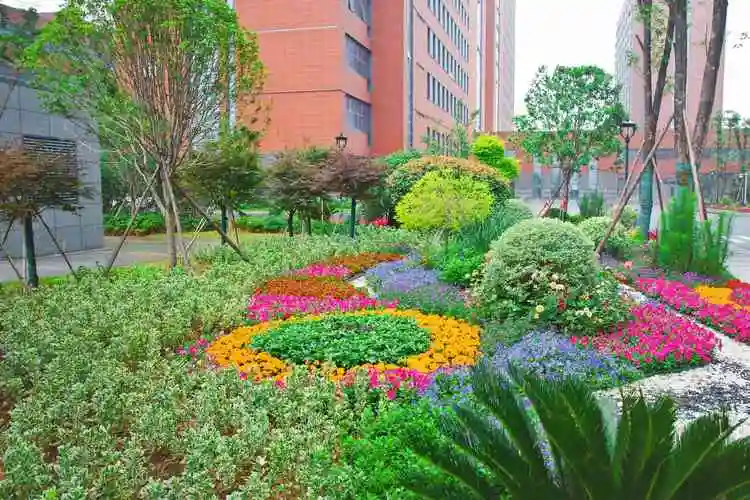 花园式医院|南昌大学第一附属医院象湖分院景观提升|景观设计|园区