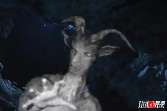 美国山羊人之谜半人半羊的恶魔是传说还是实验产物
