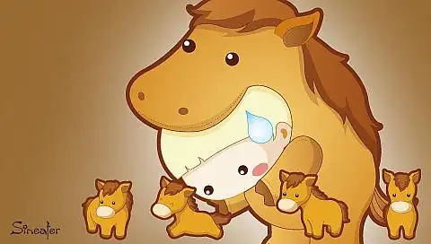 生肖属马的人五行属什么