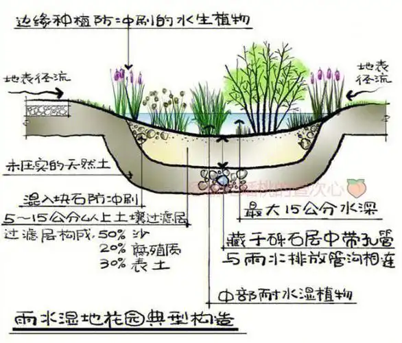 园林雨水花园基础篇