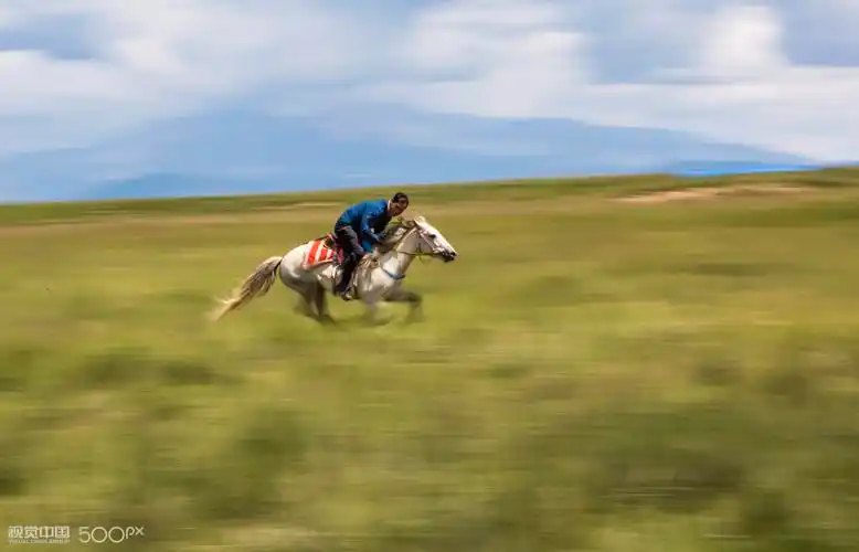 草原驰骏马