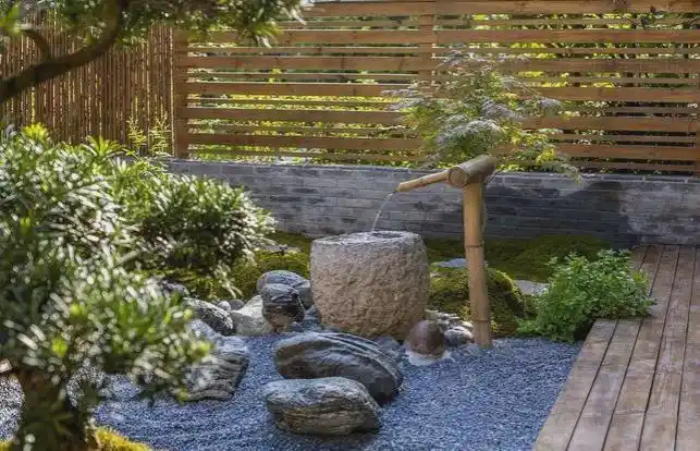 小院水系的设计你想要的都在这里