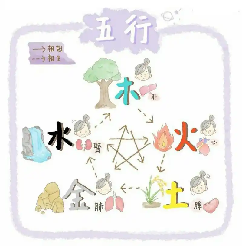 中医育儿必看 五行相生相克 7815心肝脾肺肾 五行是什么? .