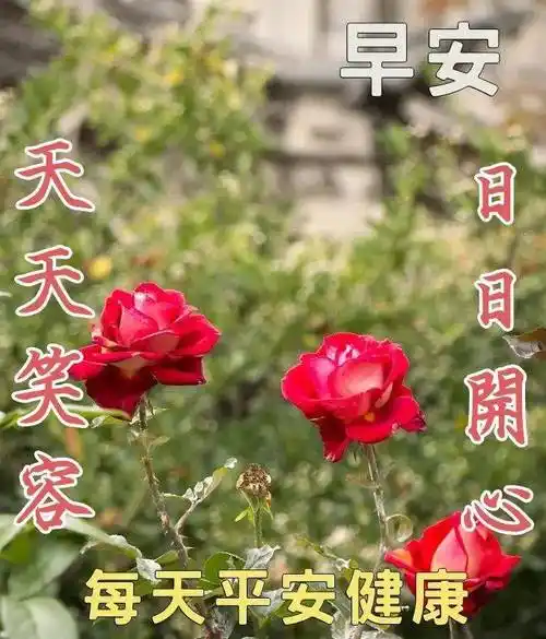 8张夏日炎炎创意唯美早安图片带祝福语 好看的亲人朋友圈早上好问候