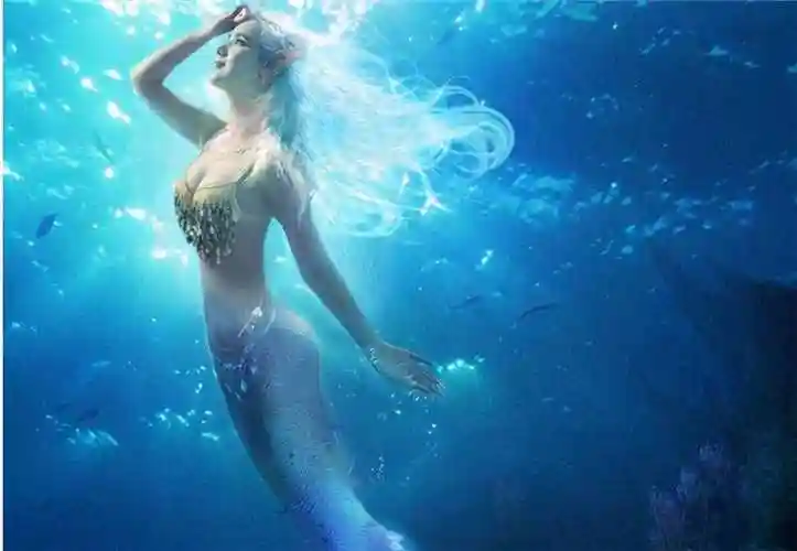 儒艮为什么叫美人鱼为什么把儒艮认成美人鱼呢