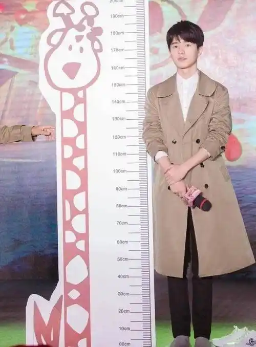 他的官方身高是182,净身高都超过了180,与观众想象的还未成年的稚美