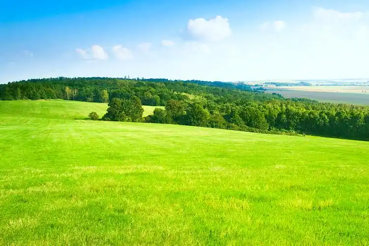 阳光草原图片_阳光草原高清图片素材库