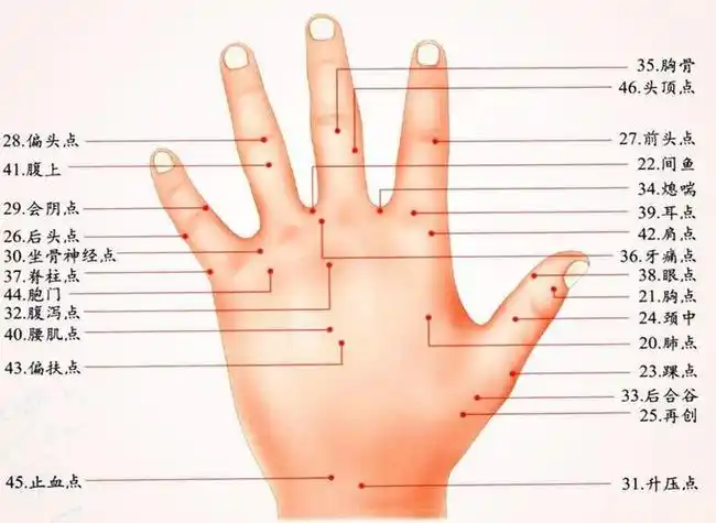 手背长痣算命 男手背痣图-八卦网