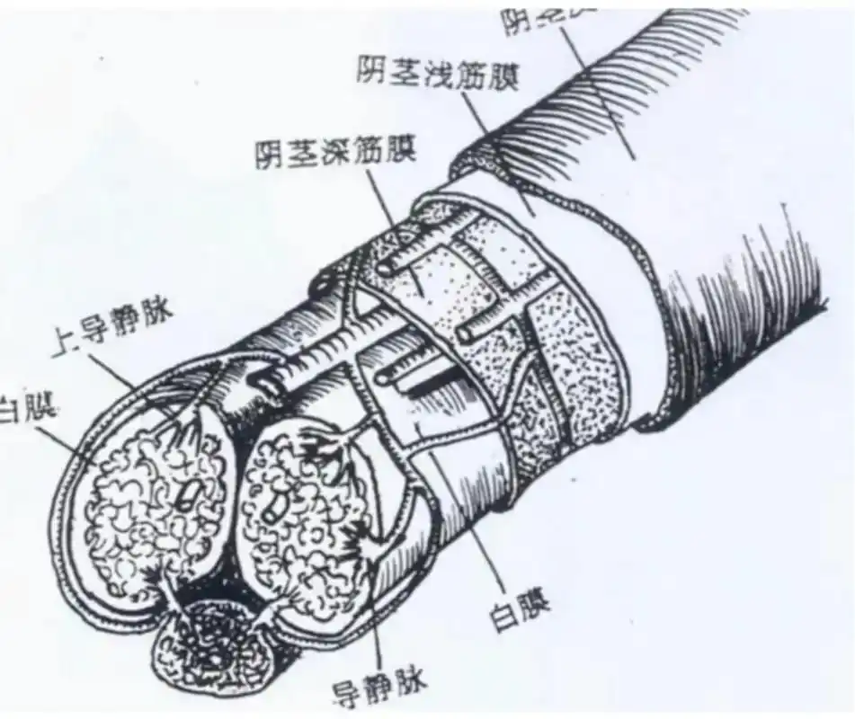 中山一院贵州医院泌尿外科"切断"危险,保障患者生命安全