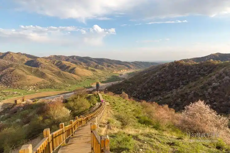 镜头里的新疆印象——中华福寿山春色