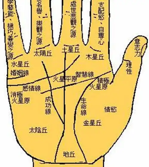 手相图解事业线