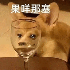 沙雕搞笑表情包:会好起来的|爱情|傻子|抖音_网易订阅