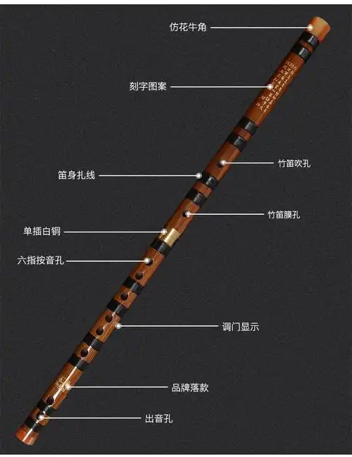 笛子初学成人零基础苦竹笛子学生儿童初学横笛竹笛专业精制乐器f调