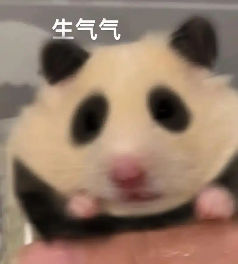 大熊猫 嘿嘿嘿我的大熊猫