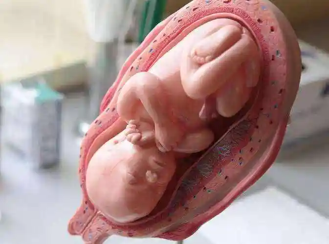 还有1,2周就到预产期,胎儿还迟迟没入盆是怎么回事?