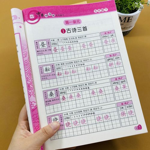 小学生五年级下册字帖人教版语文生字表同步硬笔钢笔练字帖描红本