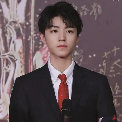 王俊凯头像