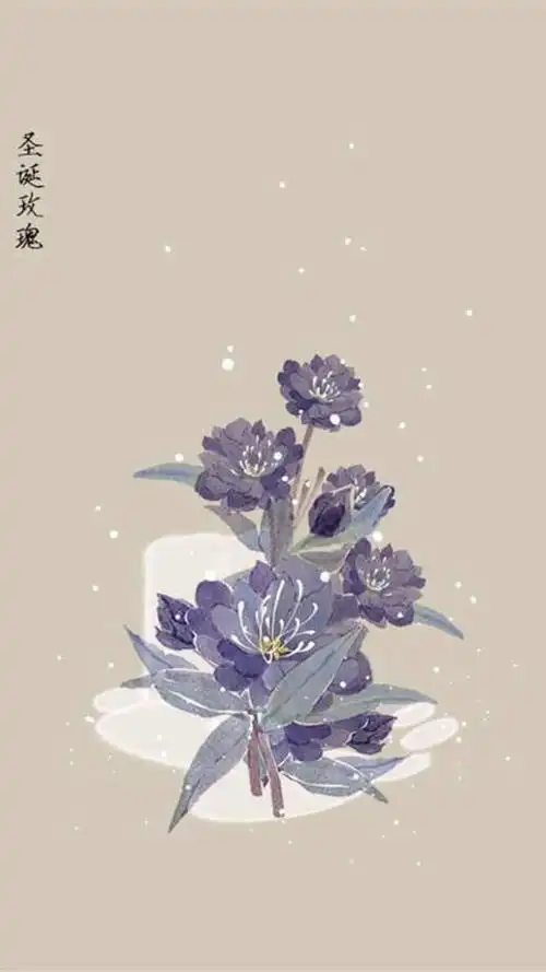 古风唯美手绘花卉