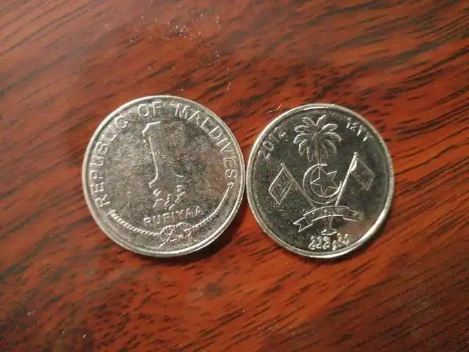 马尔代夫1罗飞亚硬币是什么样子