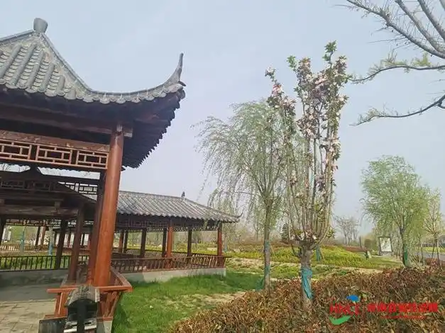 商丘市梁园区观堂镇点亮生态宜居星描绘和美乡村新画卷