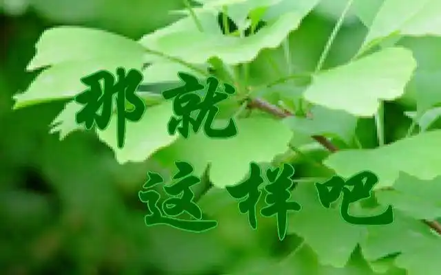 【飒爽】那就这样吧 (绿色情歌)(护眼pv付)