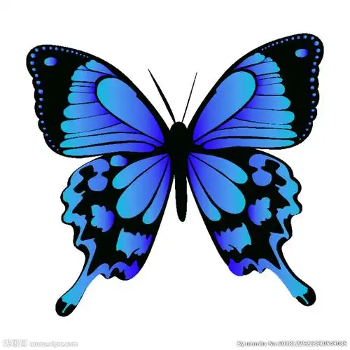 蝴蝶矢量图图片