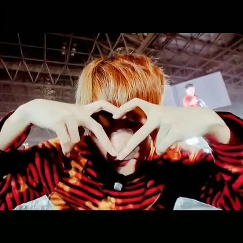 边伯贤花式比心-白甜头像铺子(边伯贤专库)-话本小说网