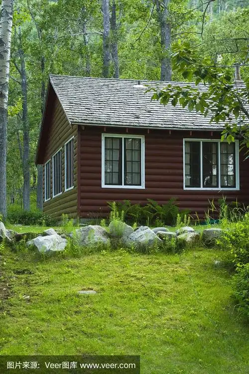 森林中的小木屋