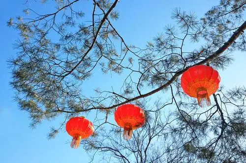 大红灯笼高高挂 欢欢喜喜过新年!