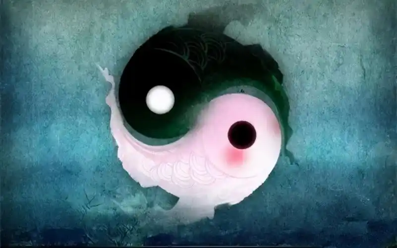 阴阳鱼的吉祥含义 _飞翔号