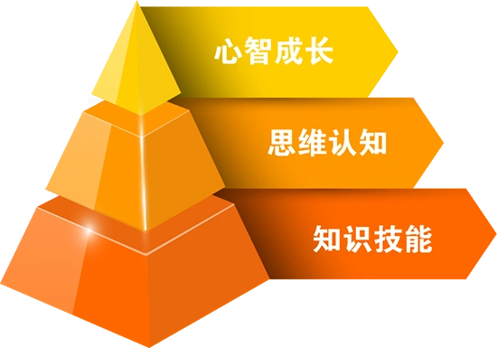 第三类:面向 非认知类的素养,注重心理健康和人格培养,满足心智发展的