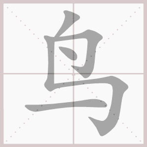 鸟- 生字笔顺演示