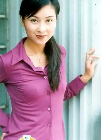 明星杨恭如(kristy yeung)档案