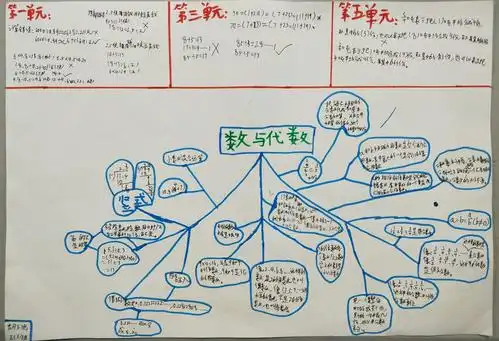 五年级下册《数与代数》整理