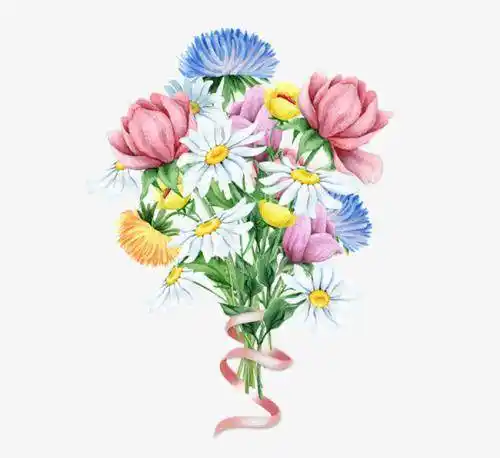 一束鲜花简笔画8月最新一束花简笔画画法