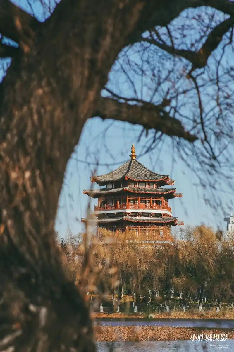 肥城范蠡公园.#街景随拍 "江南的冬天似乎来的慢一些,风中满 - 抖音