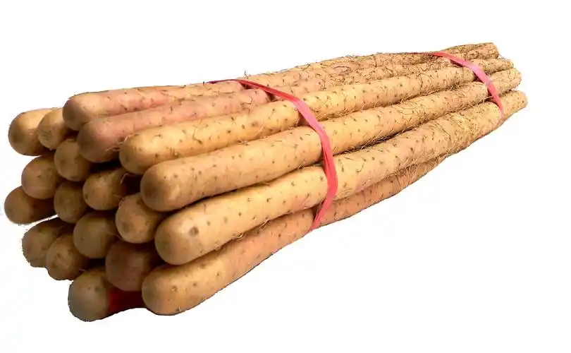 正宗焦作温县新鲜沙土铁棍山药500g 怀山药淮山药沙土