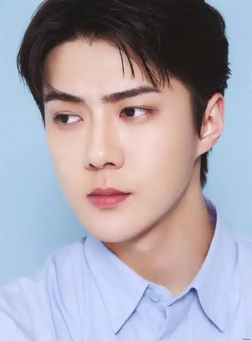 吴世勋dior全球品牌大使##吴世勋出演电影海盗2