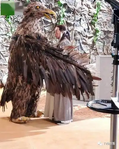 昨晚《开心速递》"我不是弱鸡"中,terry(李伟健饰)在恶搞《神鵰侠侣》