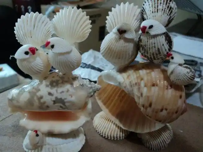 贝壳作品欣赏 -------来自网络收