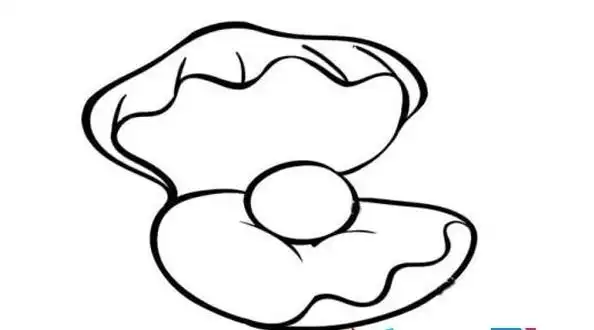 珍珠贝壳简笔画海洋生物简笔画