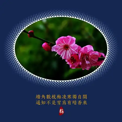 《红楼梦》咏红梅花 (梅字)