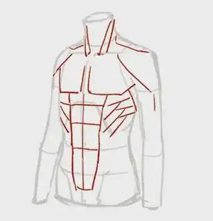 成都水彩之翼教你上半身肌肉的画法教程